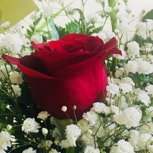 Meet your Posher, Zuleima